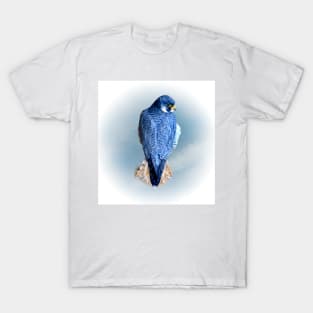 Falcon T-Shirt